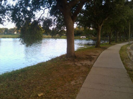 Path alongside a lake